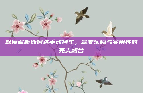深度解析斯柯达手动挡车，驾驶乐趣与实用性的完美融合
