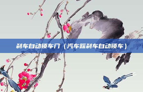 刹车自动锁车门(汽车踩刹车自动锁车)