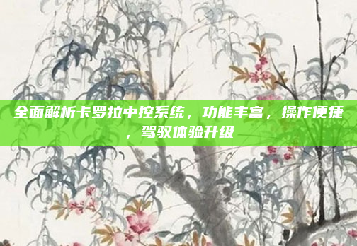全面解析卡罗拉中控系统，功能丰富，操作便捷，驾驭体验升级