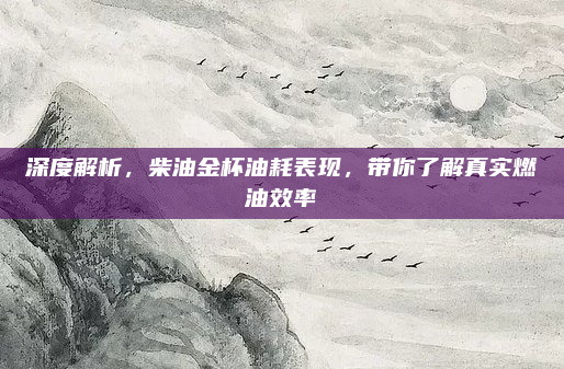 深度解析，柴油金杯油耗表现，带你了解真实燃油效率