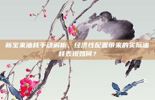 新宝来油耗手动解析，经济性配置带来的实际油耗表现如何？