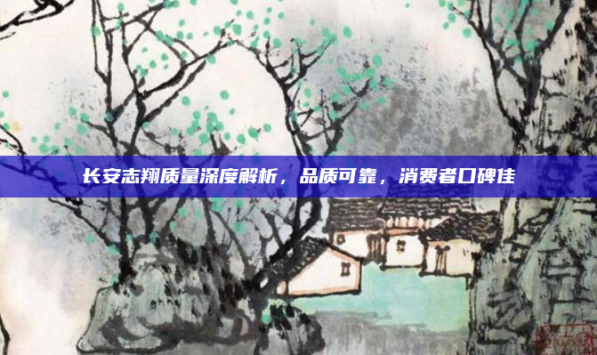 长安志翔质量深度解析，品质可靠，消费者口碑佳