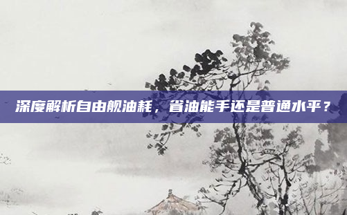 深度解析自由舰油耗，省油能手还是普通水平？