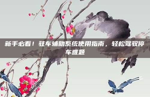 新手必看！驻车辅助系统使用指南，轻松驾驭停车难题