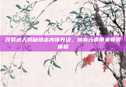 改装达人揭秘锐志内饰升级，桃木元素带来尊贵体验