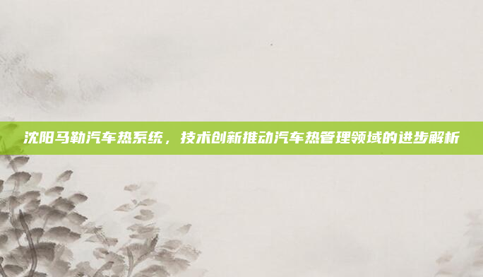 沈阳马勒汽车热系统，技术创新推动汽车热管理领域的进步解析