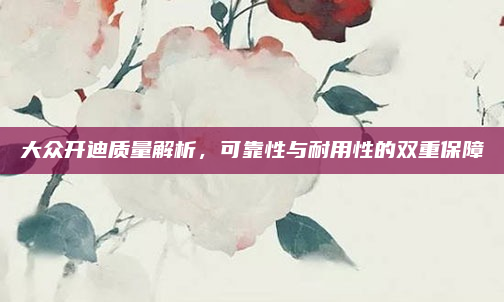 大众开迪质量解析，可靠性与耐用性的双重保障