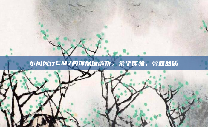 东风风行CM7内饰深度解析，豪华体验，彰显品质