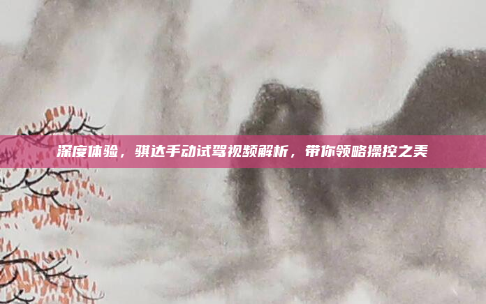 深度体验，骐达手动试驾视频解析，带你领略操控之美