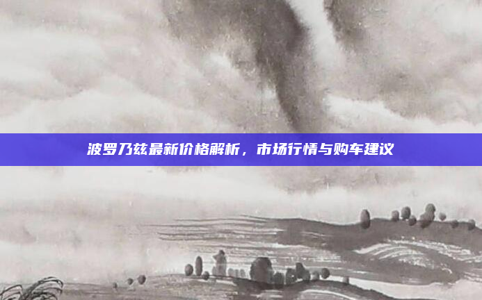 波罗乃兹最新价格解析，市场行情与购车建议