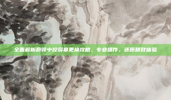 全面解析蔚领中控屏幕更换攻略，专业操作，还原精致体验