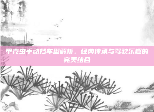 甲壳虫手动挡车型解析，经典传承与驾驶乐趣的完美结合