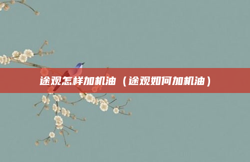 途观怎样加机油（途观如何加机油）