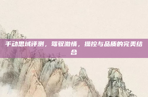 手动思域评测，驾驭激情，操控与品质的完美结合