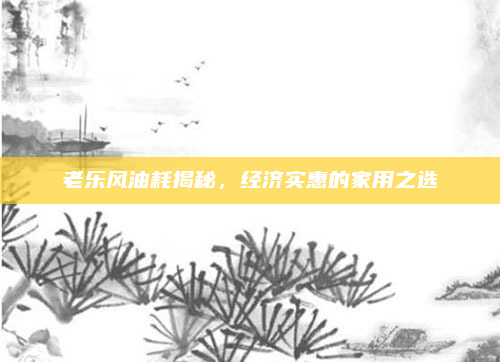 老乐风油耗揭秘，经济实惠的家用之选