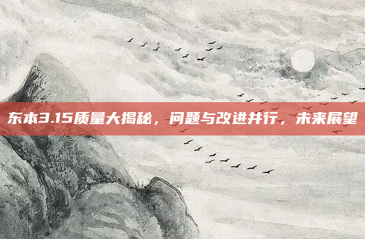 东本3.15质量大揭秘，问题与改进并行，未来展望