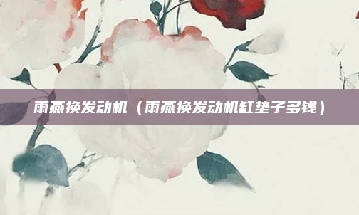 雨燕换发动机(雨燕换发动机缸垫子多钱)