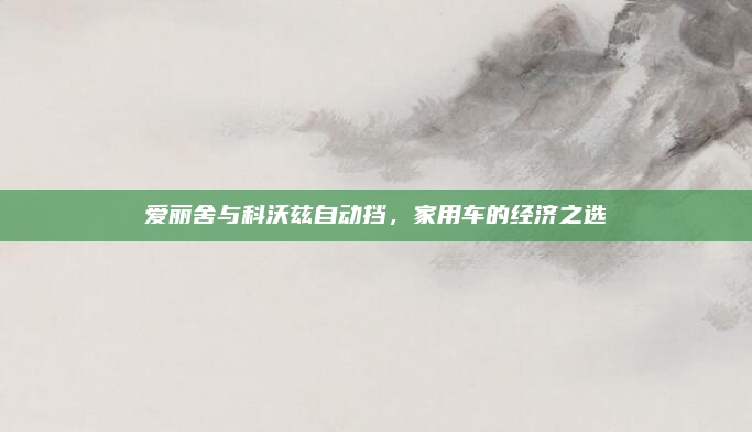 爱丽舍与科沃兹自动挡，家用车的经济之选