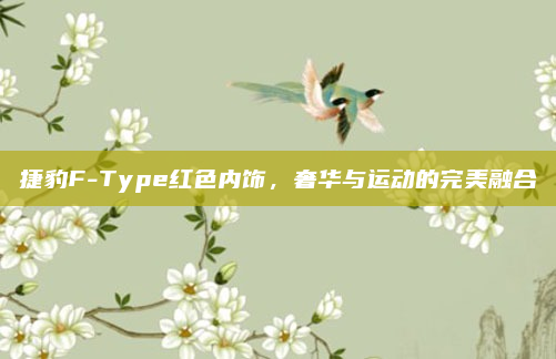 捷豹F-Type红色内饰，奢华与运动的完美融合