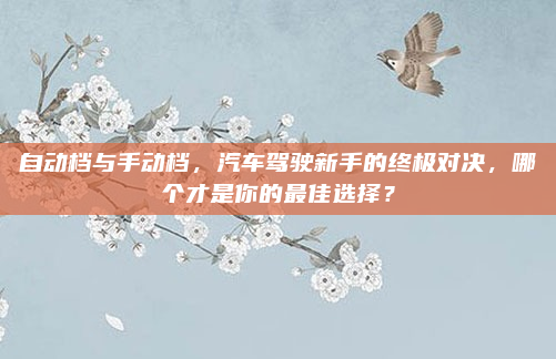自动档与手动档，汽车驾驶新手的终极对决，哪个才是你的最佳选择？
