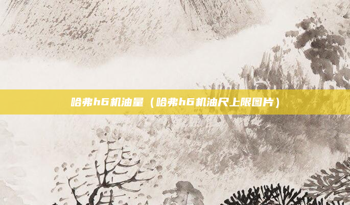 哈弗h6机油量(哈弗h6机油尺上限图片)