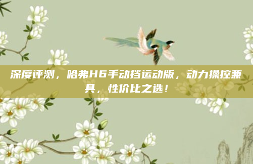 深度评测，哈弗H6手动挡运动版，动力操控兼具，性价比之选！