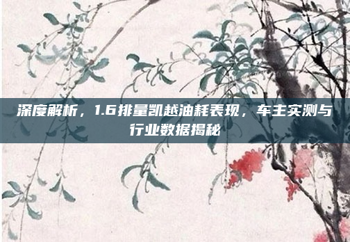 深度解析，1.6排量凯越油耗表现，车主实测与行业数据揭秘