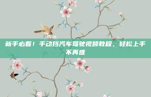 新手必看！手动挡汽车驾驶视频教程，轻松上手不再难