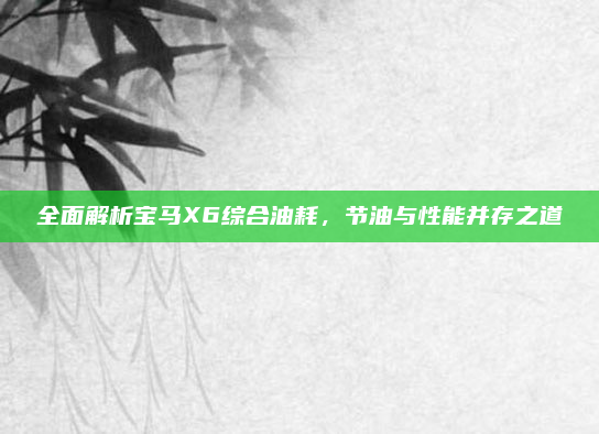全面解析宝马X6综合油耗，节油与性能并存之道