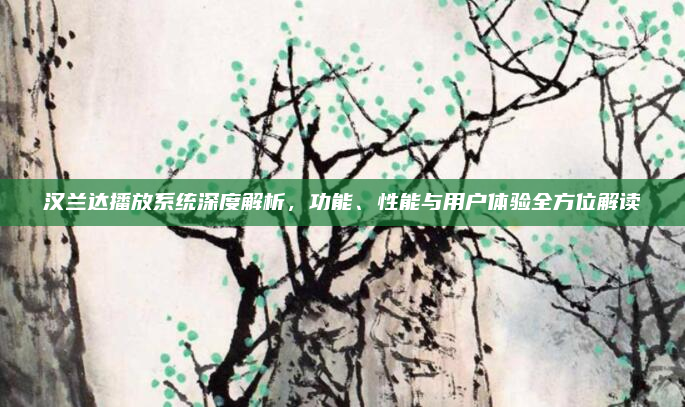 汉兰达播放系统深度解析，功能、性能与用户体验全方位解读