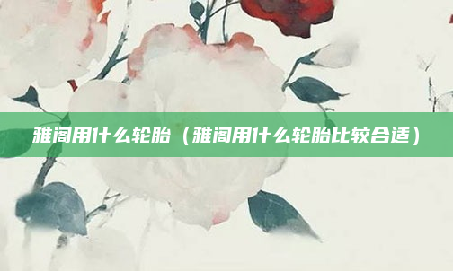 雅阁用什么轮胎（雅阁用什么轮胎比较合适）