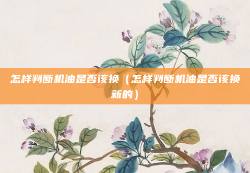 怎样判断机油是否该换(怎样判断机油是否该换新的)