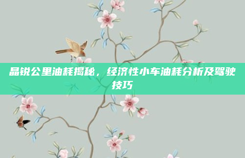 晶锐公里油耗揭秘，经济性小车油耗分析及驾驶技巧