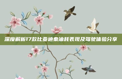 深度解析17款比亚迪秦油耗表现及驾驶体验分享