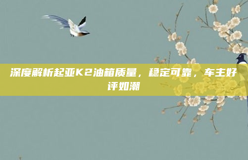 深度解析起亚K2油箱质量，稳定可靠，车主好评如潮