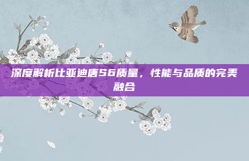 深度解析比亚迪唐S6质量，性能与品质的完美融合