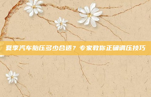 夏季汽车胎压多少合适？专家教你正确调压技巧