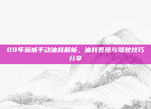 09年骊威手动油耗解析，油耗表现与驾驶技巧分享