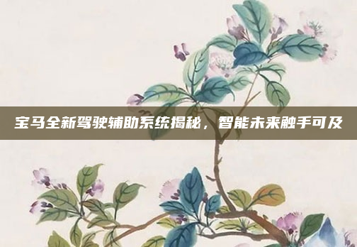宝马全新驾驶辅助系统揭秘，智能未来触手可及