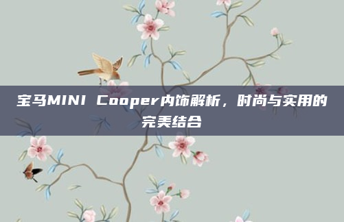 宝马MINI Cooper内饰解析，时尚与实用的完美结合