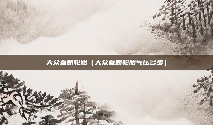 大众夏朗轮胎（大众夏朗轮胎气压多少）