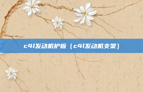 c4l发动机护板(c4l发动机支架)