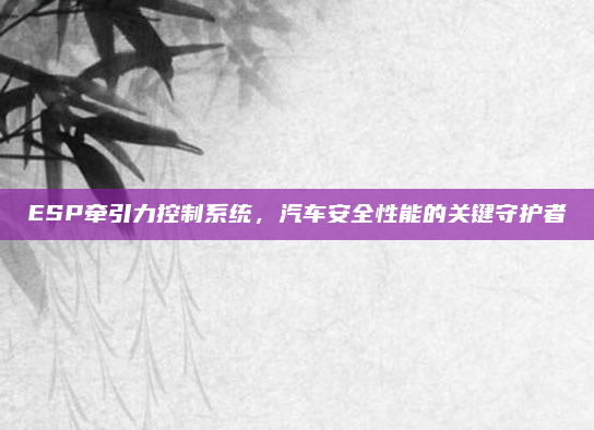 ESP牵引力控制系统，汽车安全性能的关键守护者