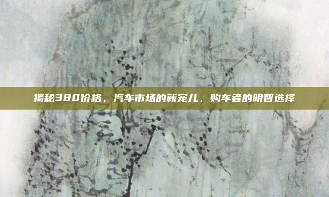 揭秘380价格，汽车市场的新宠儿，购车者的明智选择