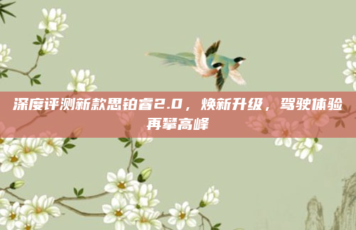 深度评测新款思铂睿2.0，焕新升级，驾驶体验再攀高峰