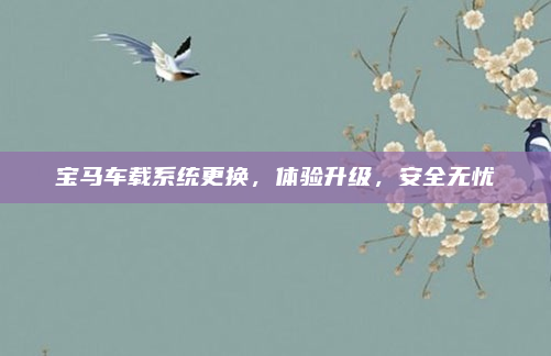 宝马车载系统更换，体验升级，安全无忧