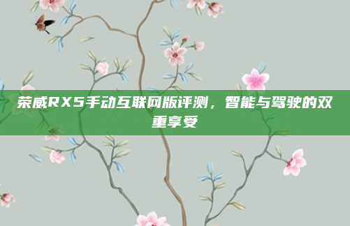 荣威RX5手动互联网版评测，智能与驾驶的双重享受
