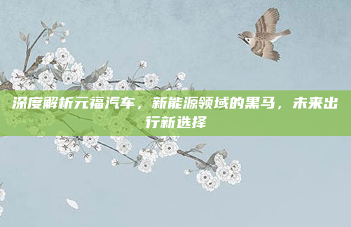 深度解析元福汽车，新能源领域的黑马，未来出行新选择