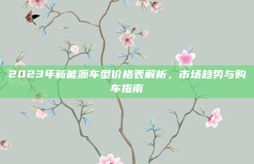 2023年新能源车型价格表解析，市场趋势与购车指南