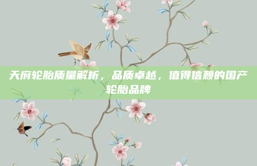 天府轮胎质量解析，品质卓越，值得信赖的国产轮胎品牌